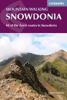 bokomslag Mountain Walking in Snowdonia