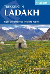 bokomslag Trekking in Ladakh