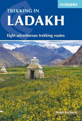 Trekking in Ladakh 1
