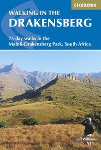 bokomslag Walking in the Drakensberg