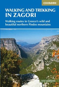bokomslag Walking and Trekking in Zagori