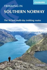 bokomslag Hiking in Norway - South