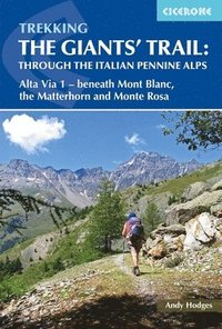 bokomslag Trekking the Giants' Trail: Alta Via 1 through the Italian Pennine Alps