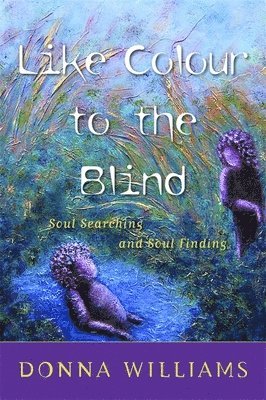 Donna Williams - Like Colour to the Blind, Häftad
