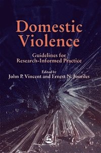 bokomslag Domestic Violence