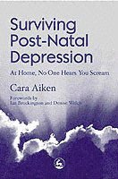 bokomslag Surviving Post-Natal Depression