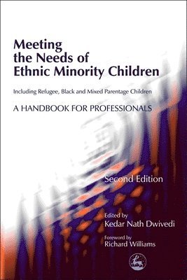 Meeting the Needs of Ethnic Minority Children - Including Refugee, Black and Mixed Parentage Children 1