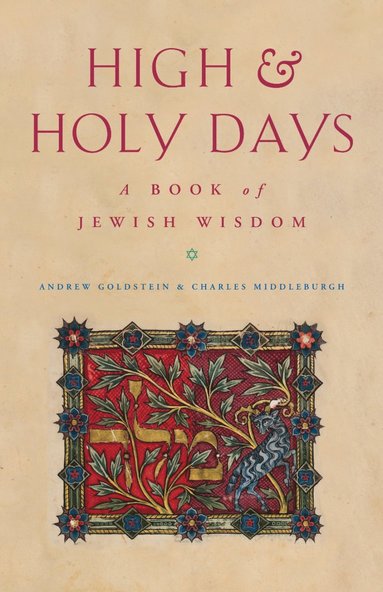 bokomslag High and Holy Days