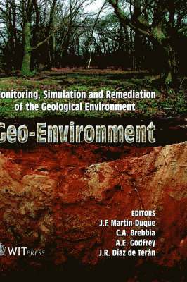 J. F. Martin-Duque, C. A. Brebbia, A.E. Godfrey - Geo-environment, Inbunden