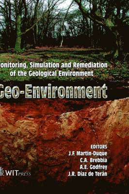 bokomslag Geo-environment