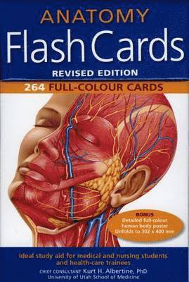 bokomslag Anatomy Flash Cards