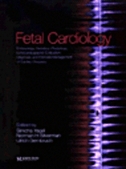 bokomslag Fetal Cardiology
