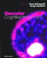 bokomslag Vascular Cognitive Impairment