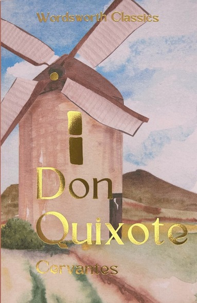 bokomslag Don Quixote