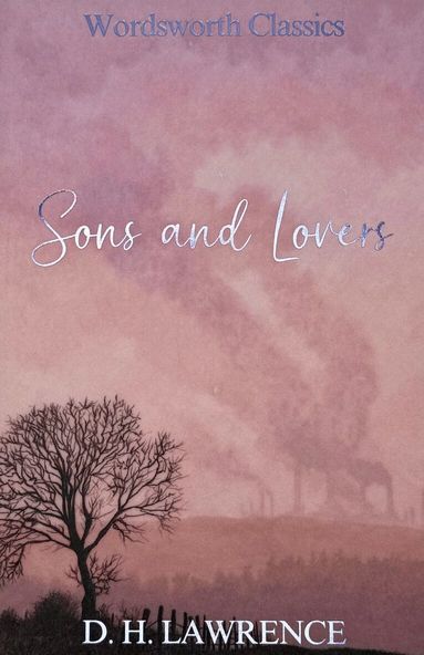 D.H. Lawrence - Sons and Lovers, Häftad