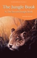 bokomslag The Jungle Book & The Second Jungle Book