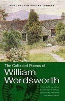 bokomslag The Collected Poems of William Wordsworth