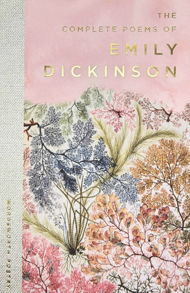 Emily Dickinson - Selected Poems of Emily Dickinson, Häftad