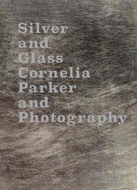 bokomslag Silver and Glass