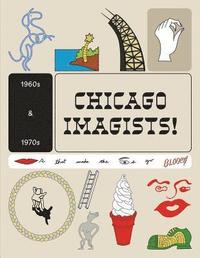 bokomslag The Chicago Imagists