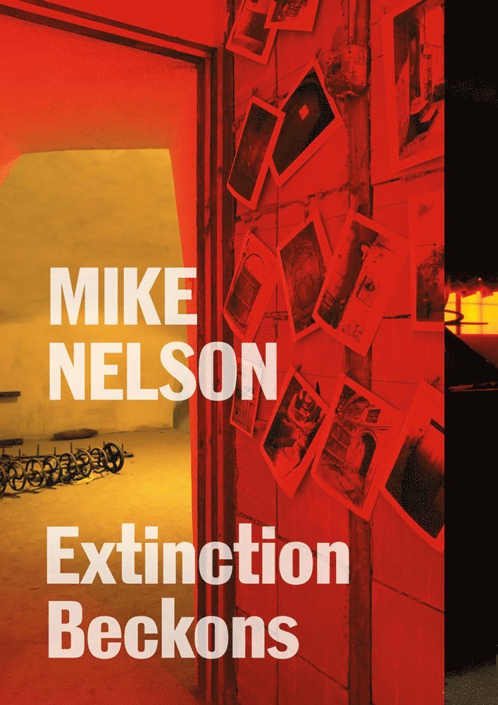 Mike Nelson, Häftad