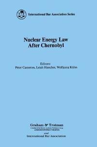 bokomslag Perspectives on Nuclear Accident in Western Europe