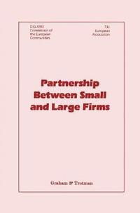 bokomslag Partnership Between Small and Large Firms