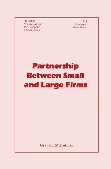 bokomslag Partnership Between Small and Large Firms