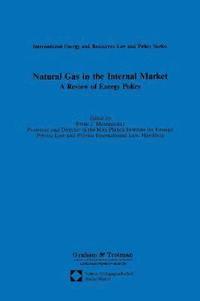 bokomslag Natural Gas in the Internal Market:A Review of Energy Policy