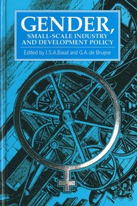 bokomslag Gender, Small-scale Industry and Development Policy