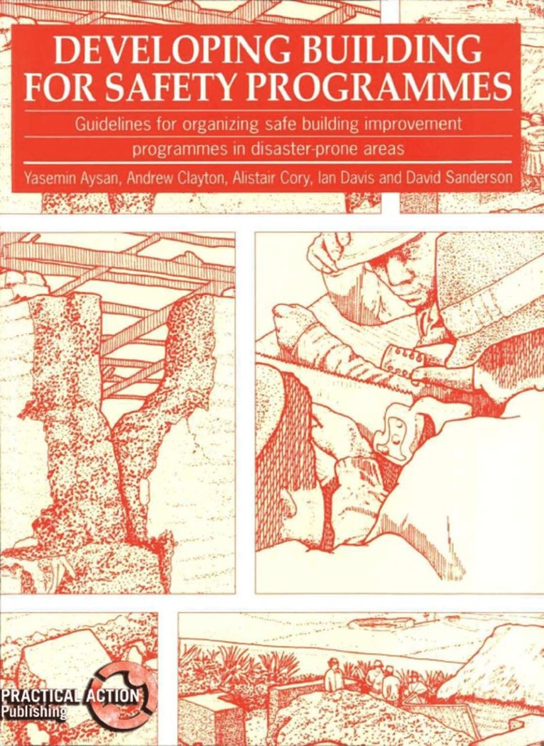 Yasemin Aysan, Andrew Clayton, Alistair Cory, Ian Davis - Developing Building for Safety Programmes, Häftad
