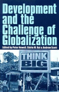 bokomslag Development and the Challenge of Globalization
