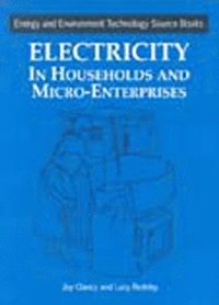 bokomslag Electricity in Households and Microenterprises