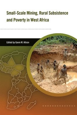 Gavin Hilson - Small-scale Mining, Rural Subsistence, and Poverty in West Africa, Häftad