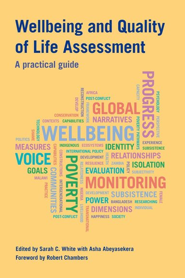 bokomslag Wellbeing and Quality of Life Assessment