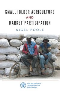 bokomslag Smallholder Agriculture and Market Participation