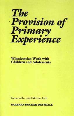 bokomslag The Provision of the Primary Experience