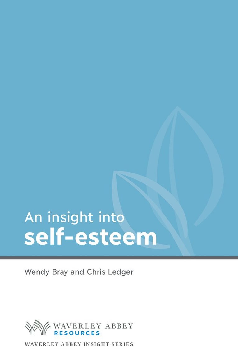 Chris Ledger, Wendy Bray - Insight into Self Esteem, Häftad
