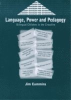 bokomslag Language, Power and Pedagogy