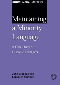 bokomslag Maintaining a Minority Language