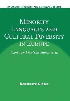 bokomslag Minority Languages and Cultural Diversity in Europe