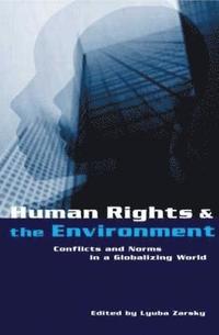 bokomslag Human Rights and the Environment