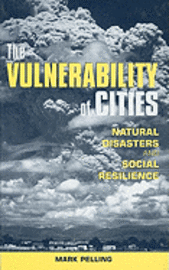 bokomslag The Vulnerability of Cities