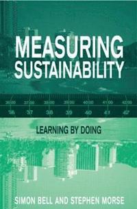 bokomslag Measuring Sustainability
