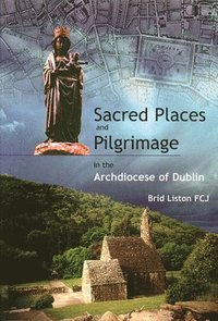 bokomslag Sacred Places and Pilgrimage