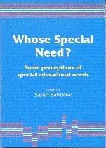 bokomslag Whose Special Need?
