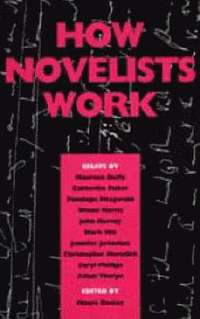 bokomslag How Novelists Work