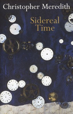 Christopher Meredith - Sidereal Time, Häftad