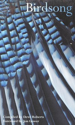 Dewi Roberts - Birdsong, Häftad