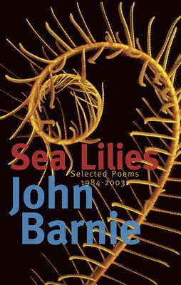 John Barnie - Sea Lilies, Häftad